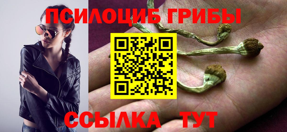 Псилоцибиновые грибы мухоморы  Вход с VPN  Карасук 